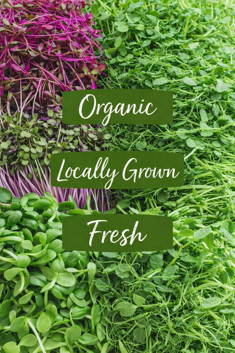 Fresh Microgreens